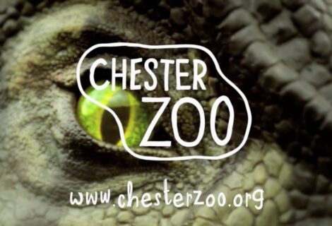 Glorious Chester Zoo Trip 2023