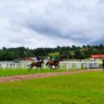 Uttoxeter Races